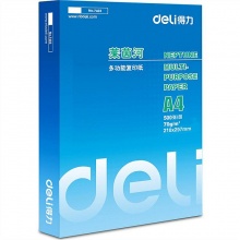 得力（deli） 7403 A4 莱茵河复印纸 70g 500张/包 10包/箱